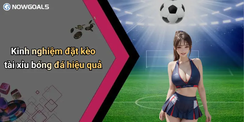 Kinh nghiệm đặt kèo tài xỉu bóng đá hiệu quả