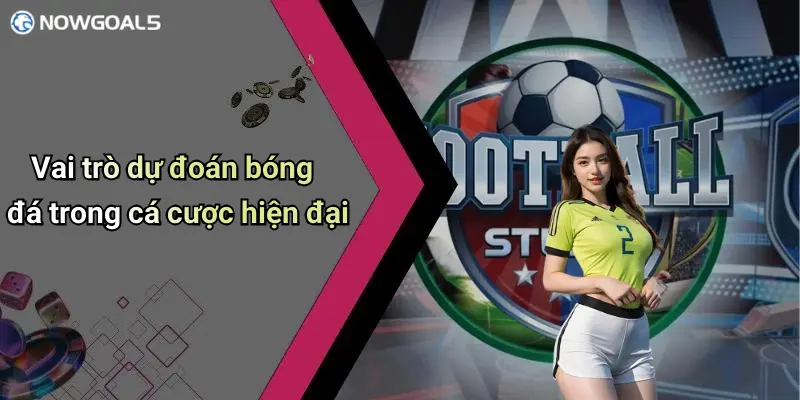 Vai trò của nowgoal trong dự đoán bóng đá