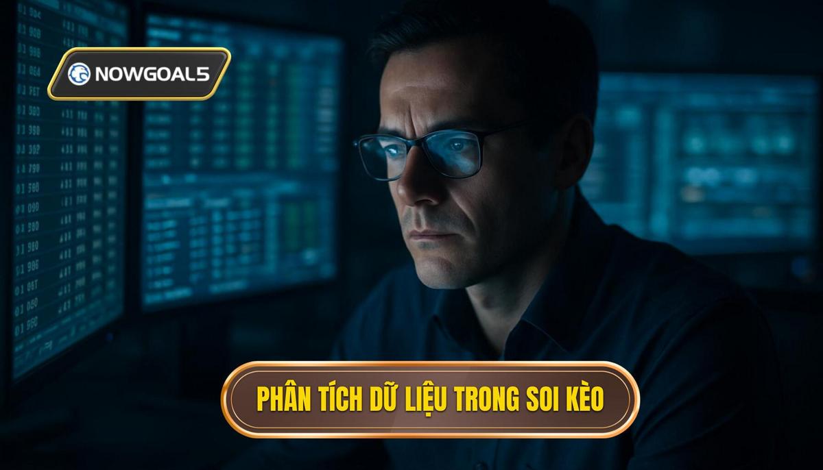 Phân tích dữ liệu định lượng và định tính trong soi kèo