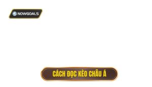 thumb - cách đọc kèo châu á
