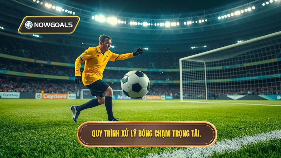 3. Quy trình xử lý bóng chạm trọng tài.