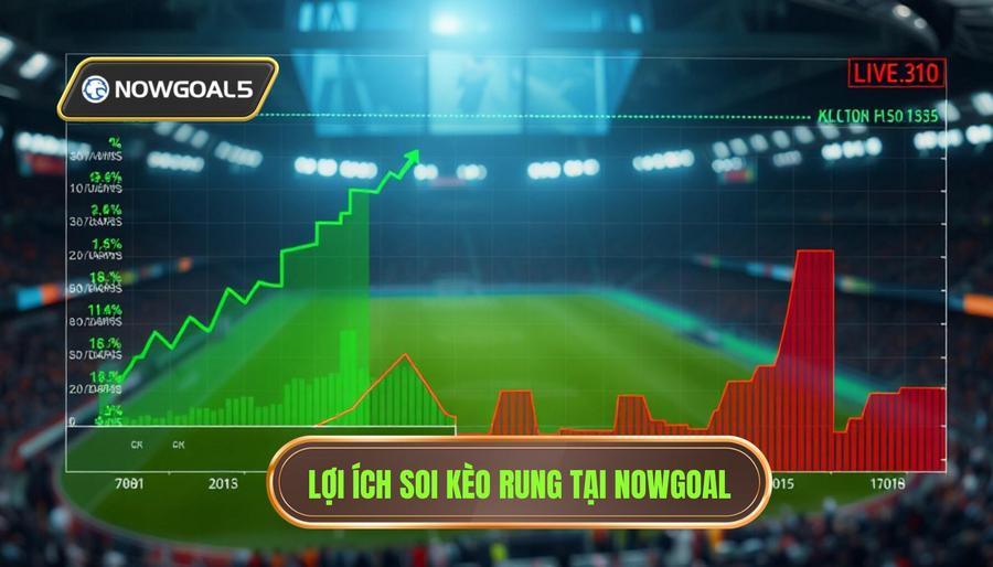Lợi ích soi kèo rung tại Nowgoal