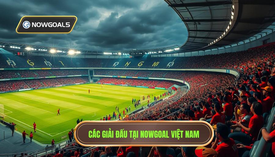 Các giải đấu tiêu biểu được cập nhật tại Nowgoal giải đấu Việt Nam Các giải đấu tiêu biểu được cập nhật tại Nowgoal giải đấu Việt Nam